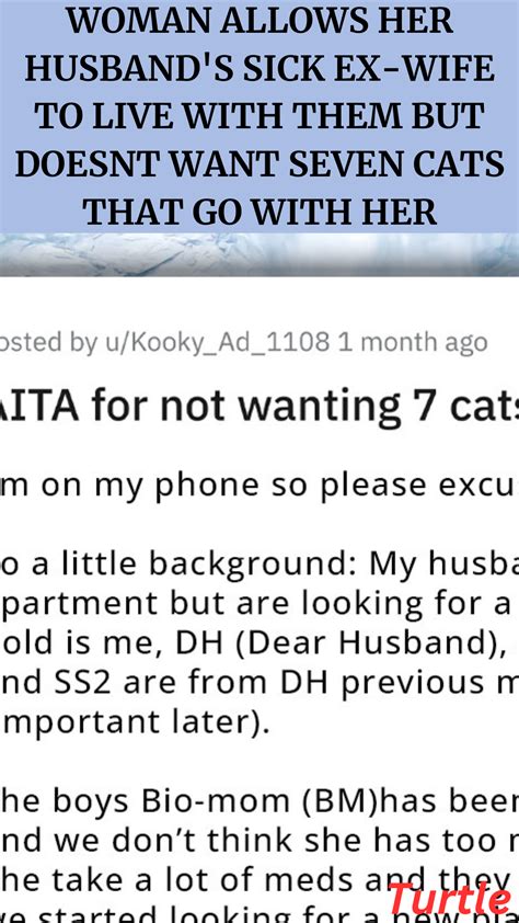 Woman Allows Her Husband S Sick Ex Wife To Live With Them But Doesnt Want Seven Cats That Go