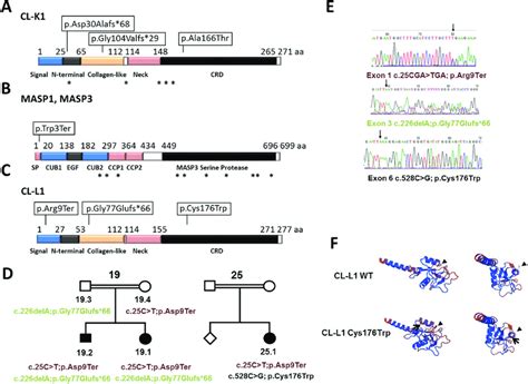 New Mc Mutations In Colec Masp And Colec A C Summary Of Mc