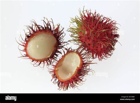 Rambutan Tropical Fruit Stock Photo Alamy