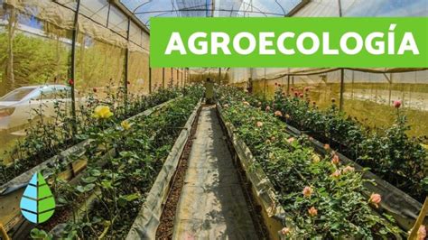 Cu L Es El Objetivo Del Enfoque Agroecol Gico Objetivo Del Enfoque