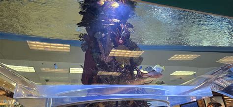 COSTCO WHOLESALE - 11100 S Auto Mall Dr, Sandy UT - Hours, Directions ...