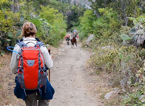 Inca Trail D As Y Noches What A Trip