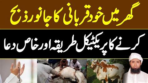 Qurbani Ka Janwar Zibah Karne Ka Sunnat Tarika Aur Dua Bakra Eid