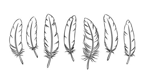 Feather Outline Clip Art