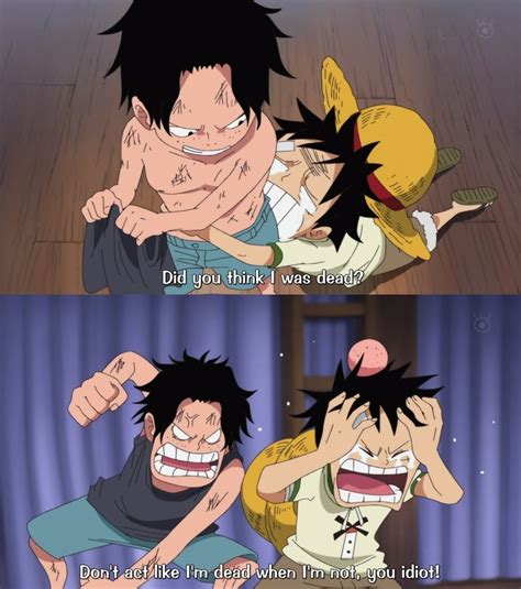 203 best Ace & Luffy & Sabo images on Pinterest | Brother, Ace sabo ...