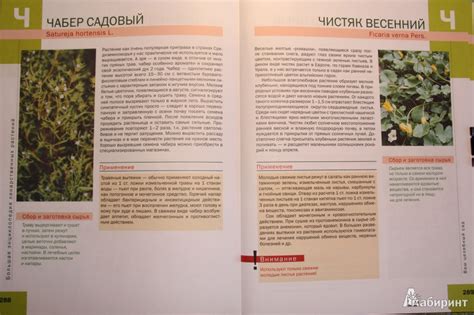 Книга: Лекарственные растения. Большая иллюстрированная энциклопедия ...