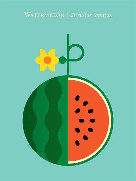 Fruit on Behance