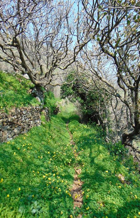 "Moderate" Hiking Experience in Tinos - Cycladic Adventures