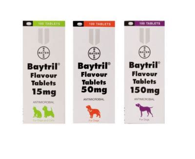 Buy Baytril Flavoured Tablets for Dogs 50mg - Single Tablet Online | SmartVetMeds | SmartVetMeds