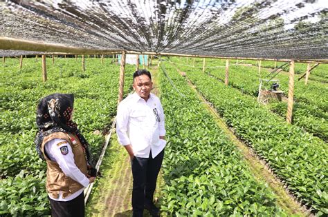 Kementerian Pertanian Jadikan Gantarangkeke Seluas Hektare Pusat