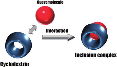 Schematic Model Of Inclusion Complexation Of Cyds With Guest Molecules