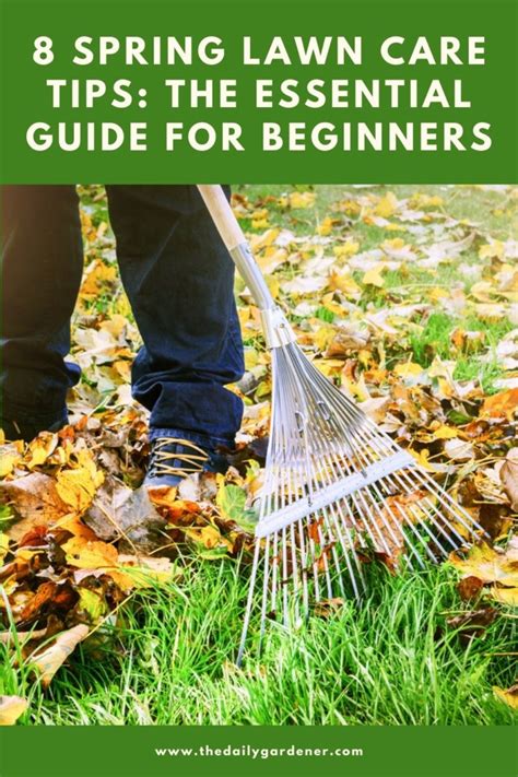 Spring Lawn Care Tips The Essential Guide For Beginners