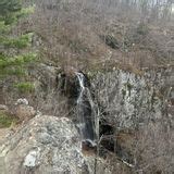 Mathews Arm Overall Run Trail Virginia 242 Reviews Map AllTrails