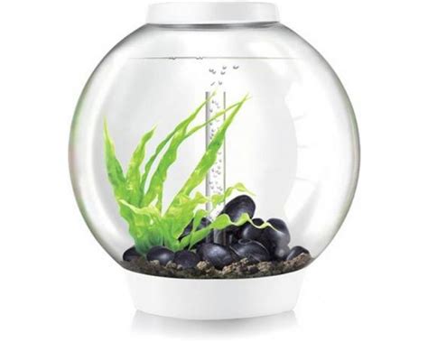 Aquarium Biorb Classic Led Liter Wit Koop Nu Bij Haxo