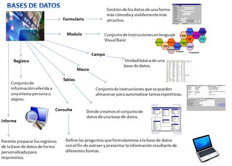 Visualbasic Mapa Conceptual Base De Datos Kulturaupice The Best Porn