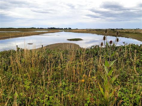 Lake Rye Harbour Nature Reserve Andrew Curtis Cc By Sa 2 0