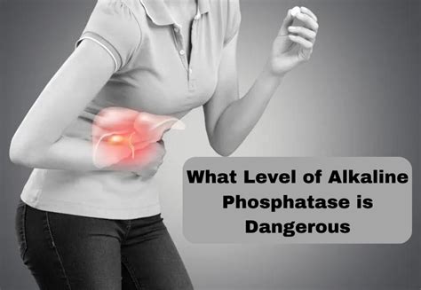 What Level Of Alkaline Phosphatase Is Dangerous