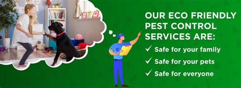 Go Green With Eco Friendly Pest Control Effective And Safe Solutions