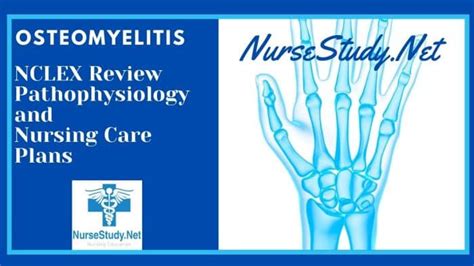 Osteomyelitis Nursing Diagnosis And Care Plan Nursestudynet