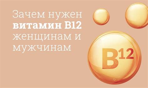 Для чего нужен витамин B12 в каких продуктах содержится за что отвечает