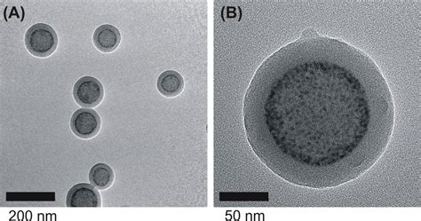 1 A Tem Image Of Assemblies Of Cdsezns Qds And Paa B Ps B Tem