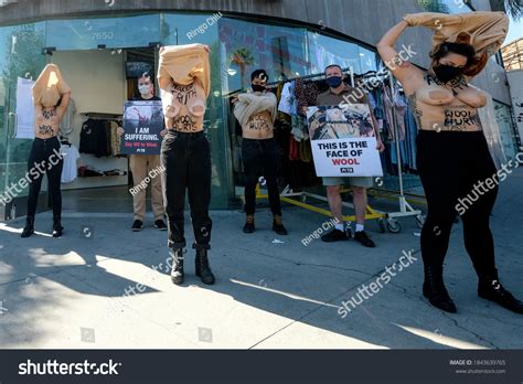 Peta Activists Revealing Naked Truth Wool Stock Photo Shutterstock