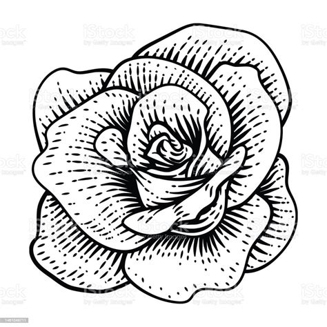 Ilustración De Una Ilustración De Flor De Rosa En Un Estilo De Dibujo De Xilografía Vintage Y