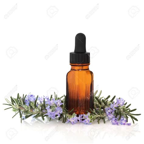 Aromatherapy clipart - Clipground