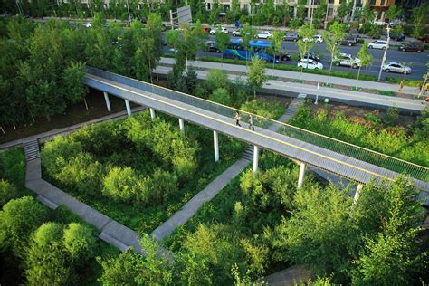 The Transformed Stormwater Park Qunli National Urban Wetland Turenscape