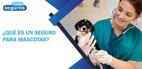 ¿qué Es Un Seguro Para Mascotas Todo Seguros