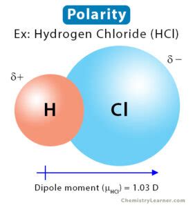 Polarity: Definition, Example, and How to Determine