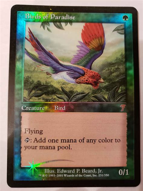 48％割引オレンジ系【在庫僅少】 Mtg 極楽鳥 Birds Of Paradise 7ed 英語foil マジック：ザ・ギャザリング トレーディングカードオレンジ系 Ota On Arena