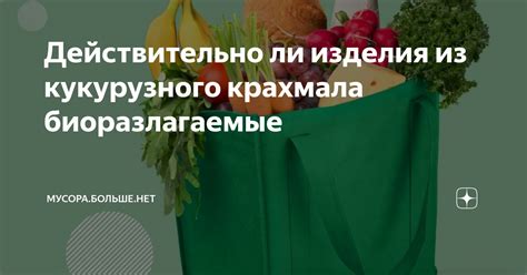 Действительно ли изделия из кукурузного крахмала биоразлагаемые ...