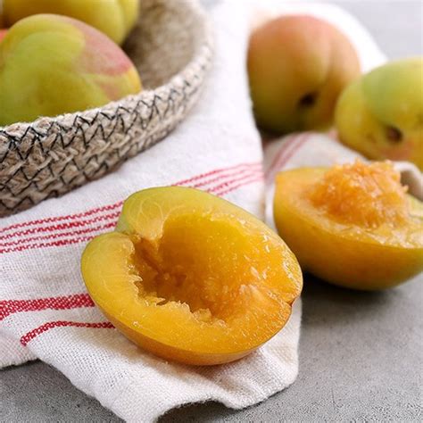 Korean Plumcot - approx. 500g – SoGoodK