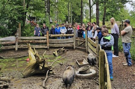 Viertkl Ssler Der Grundschule St Martin Erleben Unvergessliche