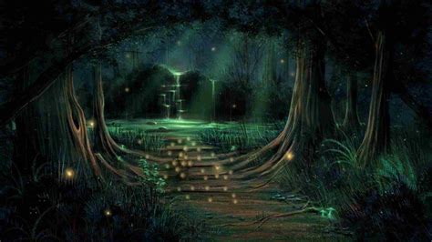 Night Enchanted Fairy Forest - 1920x1080 Wallpaper - teahub.io