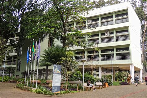 ICMC cria prêmio para incentivar projetos de graduação em Inteligência