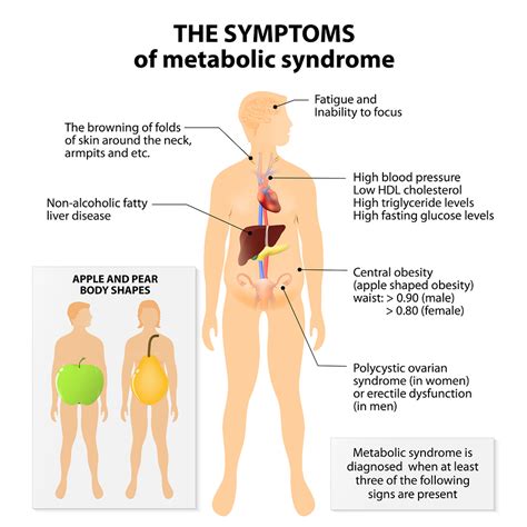 Insulin Resistance Symptoms