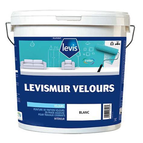 Levis Levis Levismur Velours Peinture Acrylique Murs Plafonds