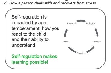 Calm Down Visuals Self Regulation Walkthrough Autism Grown Up Calm