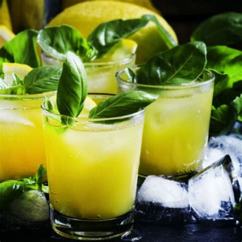 13 Best Cocktails With Basil To Drink