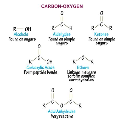 Biochemistry Glossary: Carbon-Oxygen | ditki medical & biological sciences