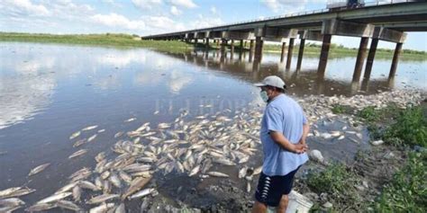 Impactantes Imágenes De La Mayor Sequía En 77 Años Del Río Paraná