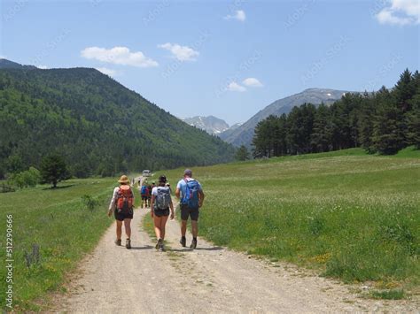 Randonn E En Montagne Solidaire Avec Handicap En Joelette Fauteuil