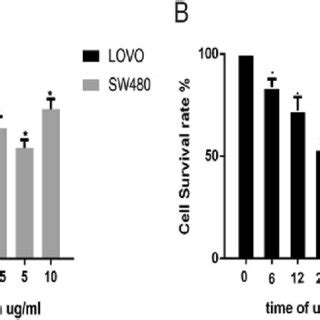 Propofol Inhibits Lovo And Sw Cell Proliferation Cell Lines Were