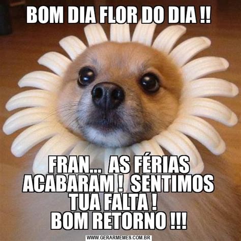 BOM DIA FLOR DO DIA FRAN AS FÉRIAS ACABARAM SENTIMOS TUA FALTA