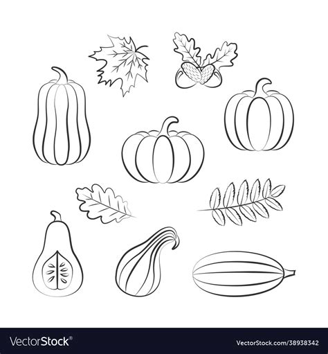 Outline drawing pumpkins and autumn leaves Vector Image