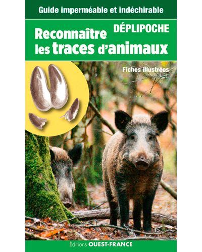 D Plipoche Reconnaitre Les Traces D Animaux Broch St Phane