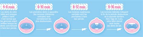 La poussée dentaire chez les bébés Boiron Canada