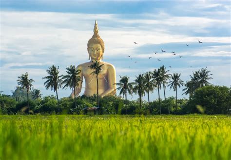 Ultimate Guide To Visiting Thai Buddha Statue | CuddlyNest